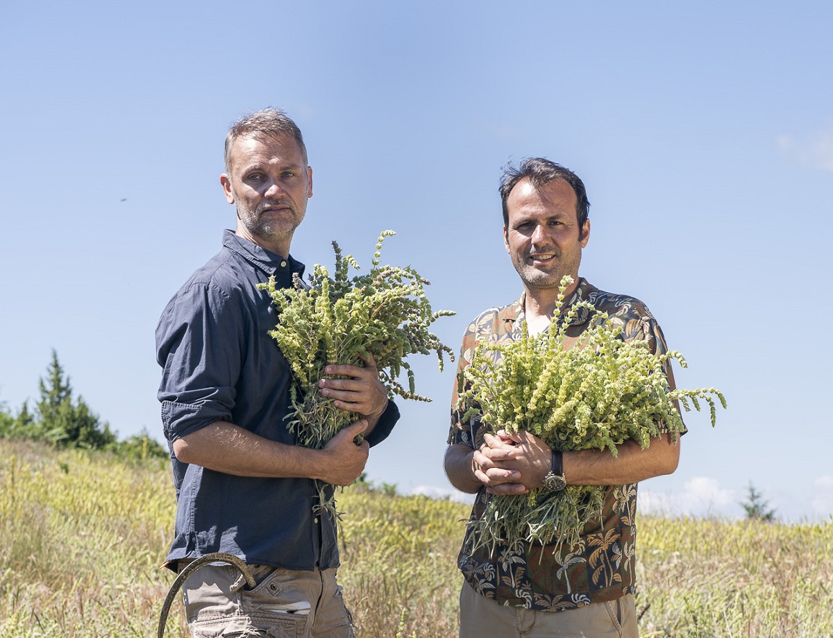 PROSOPA_COPRHES-ANOIGMA