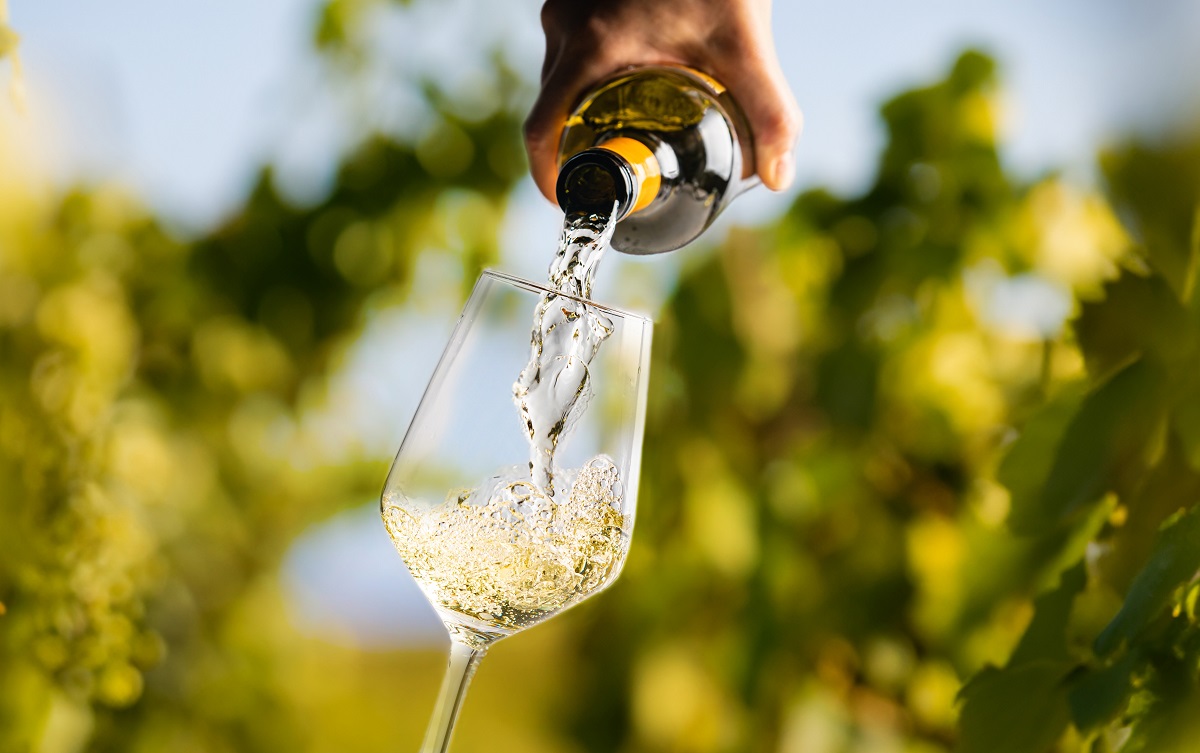 Wine,Glass,With,Pouring,White,Wine,And,Vineyard,Landscape,In