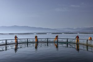 Philosofish: Μια ελληνική εταιρεία ιχθυοκαλλιέργειας στις 5 μεγαλύτερες του κόσμου