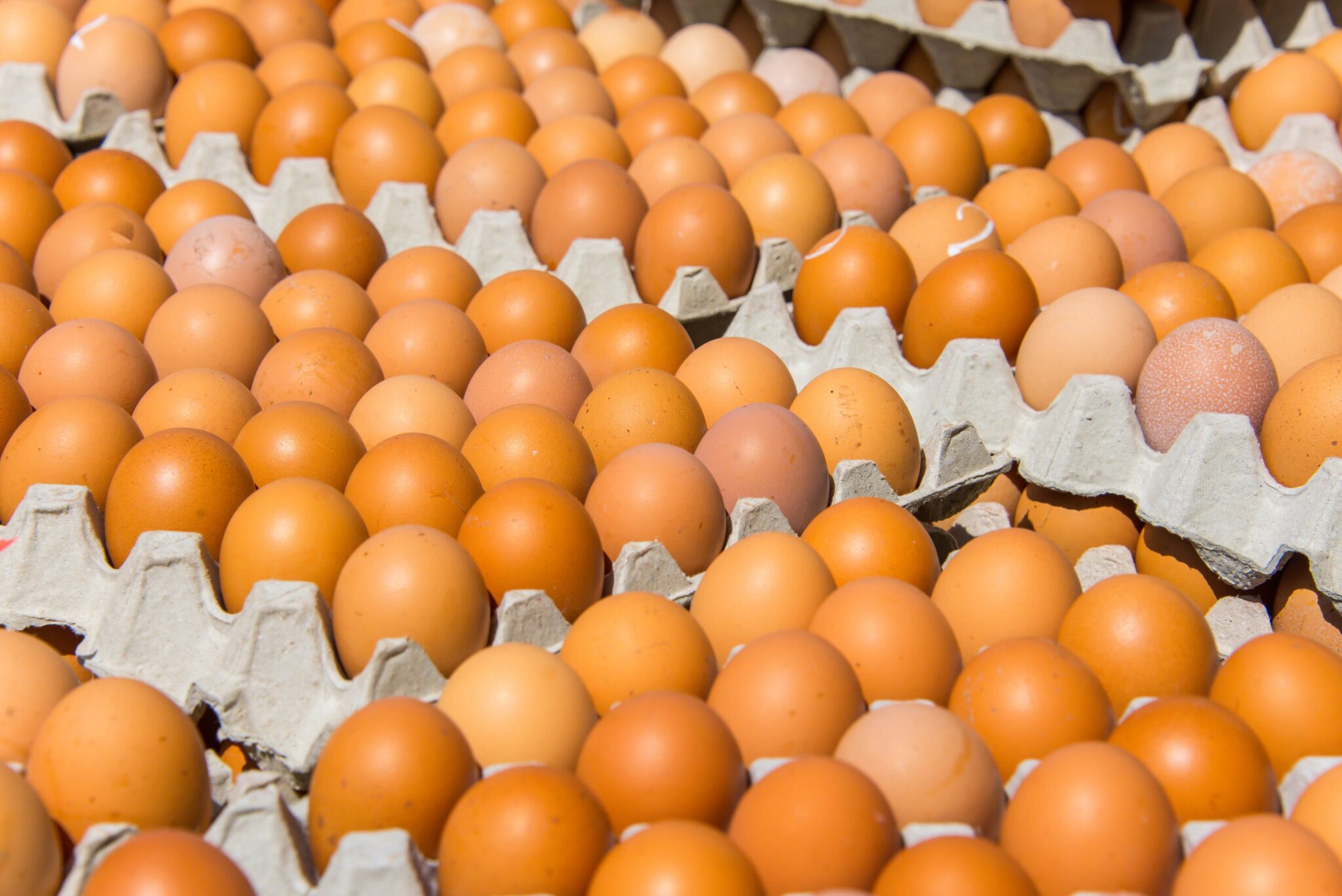 Fresh,Eggs,For,Cooking