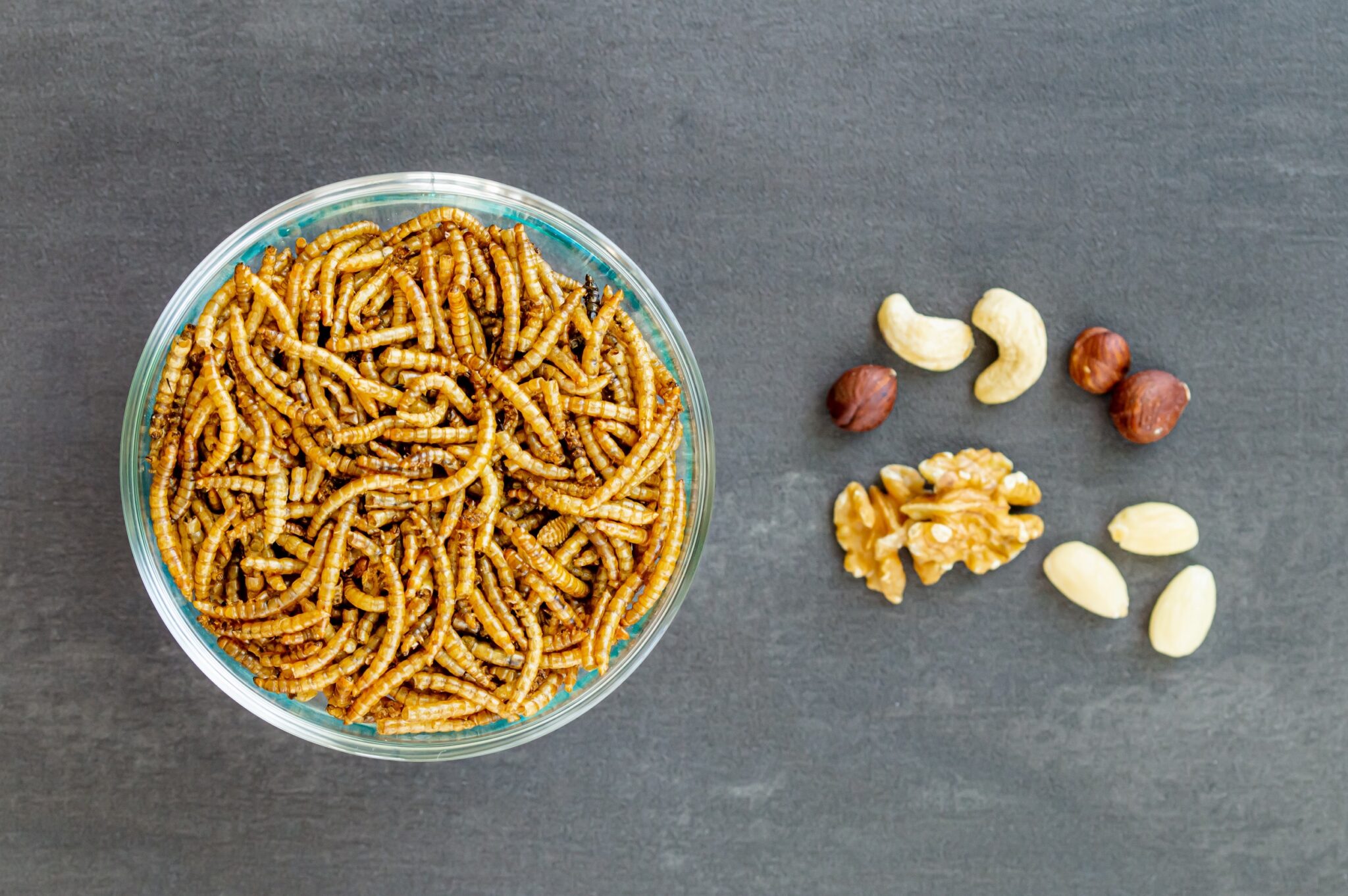 Snack,Insects.,Mealworm,Larvae,As,Food,And,Variation,Of,Nuts.