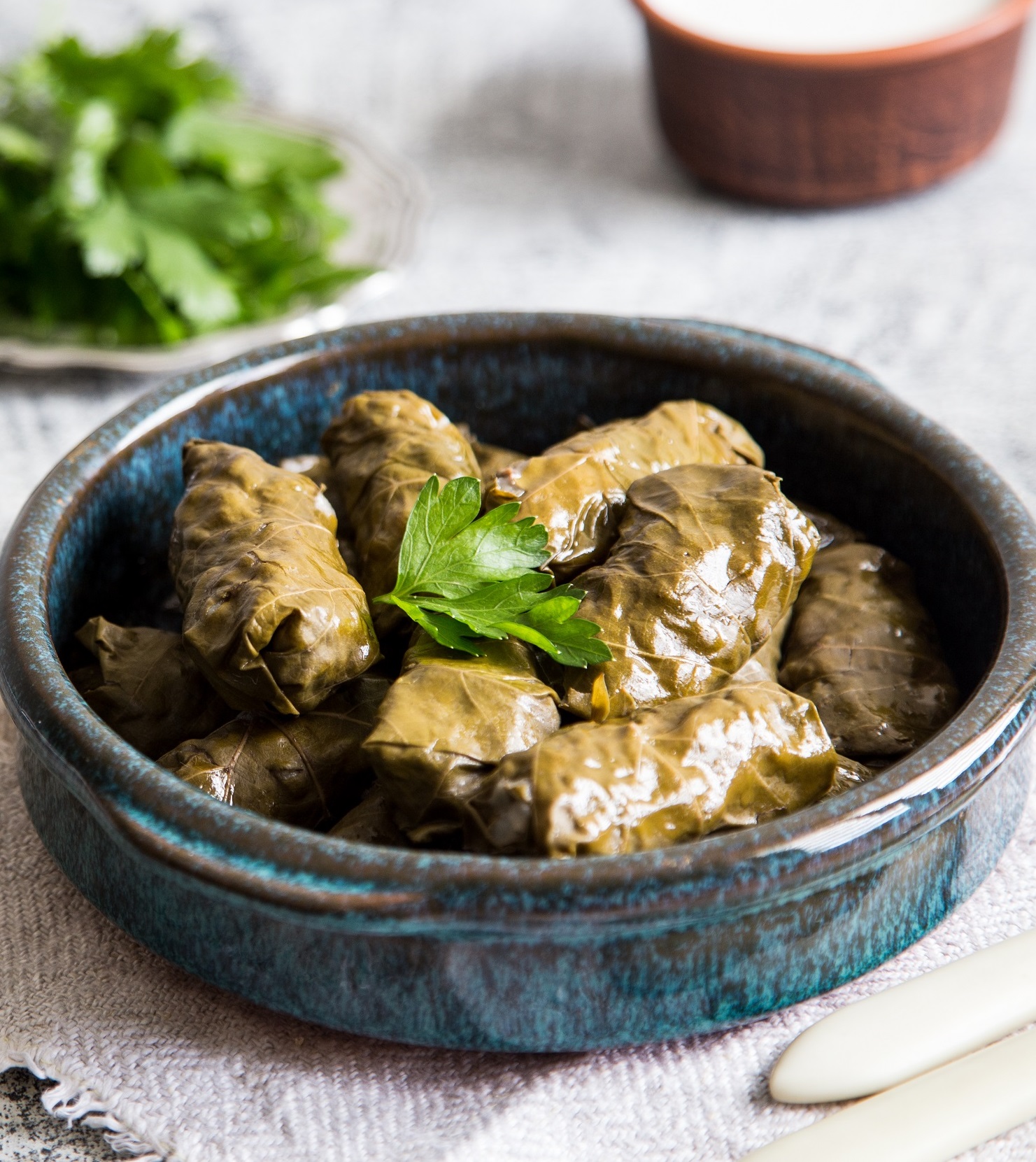 Traditional,Dolma,(sarma),In,Grape,Leaves,With,Copyspace.,Lebanon,Turkish