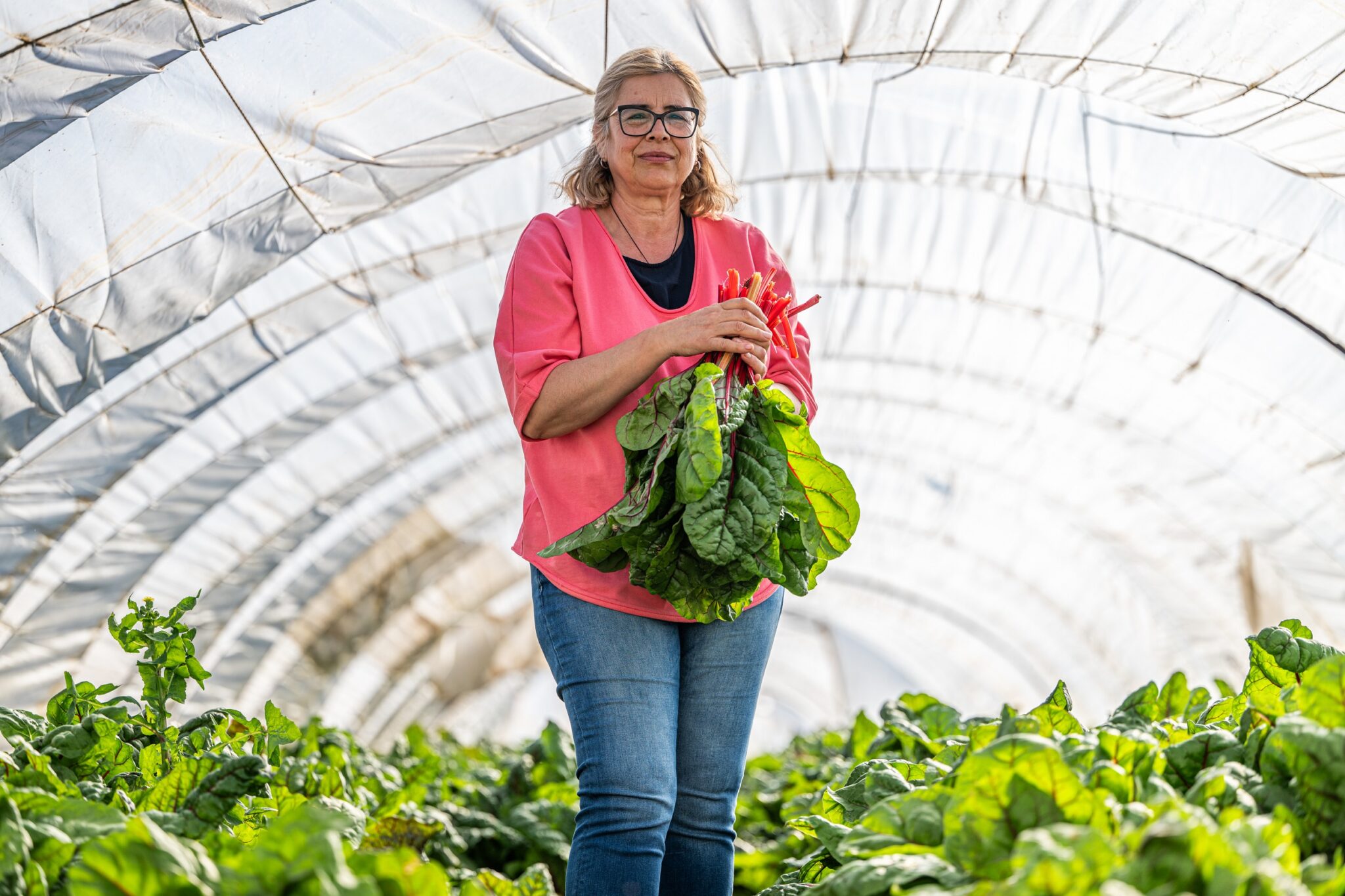 cantina-academy-agrifood