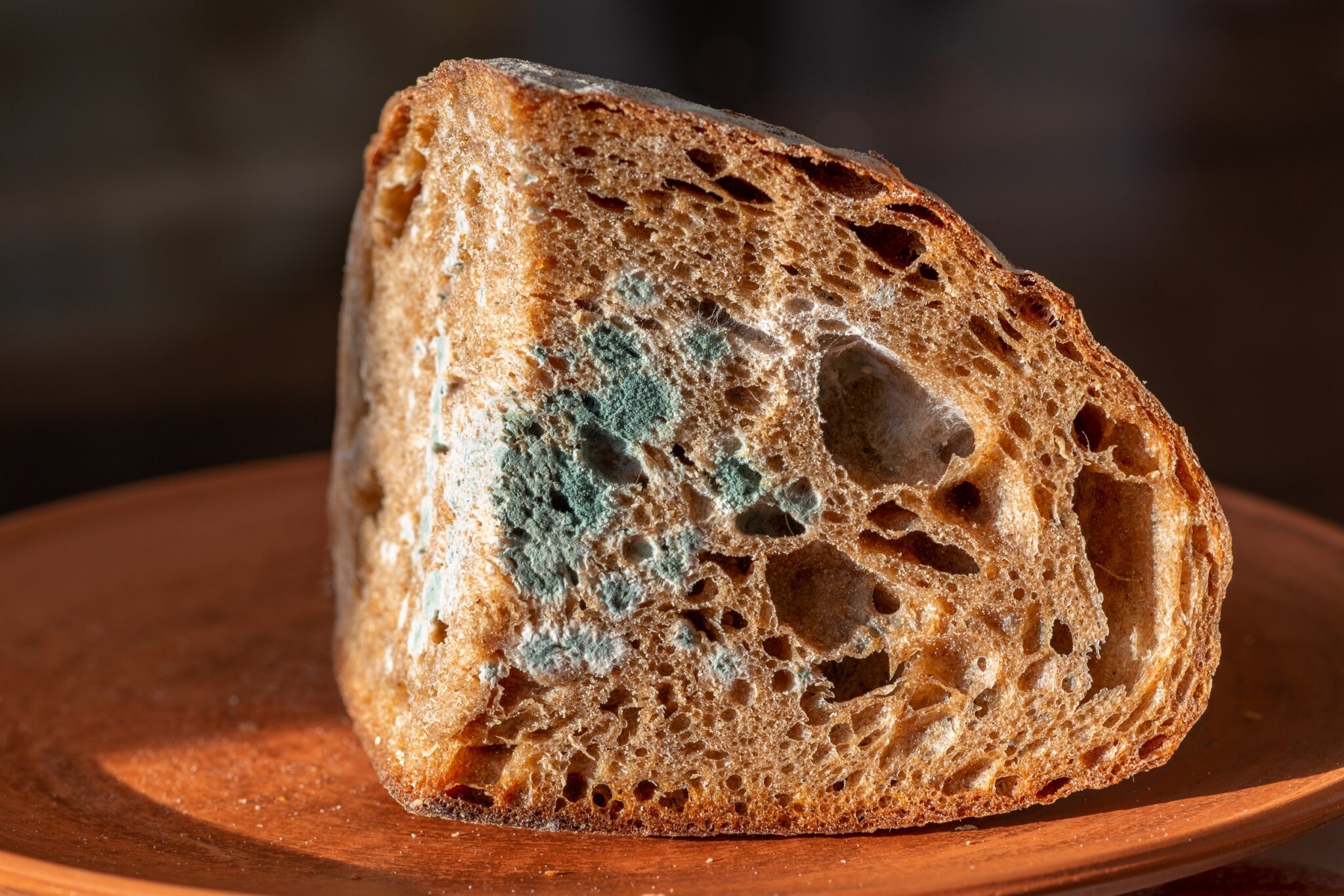 The,Old,Green,Mold,On,The,Rye,Bread.,Spoiled,Food