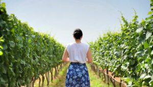 Στιγμιότυπο οθόνης 2025-04-11 102447