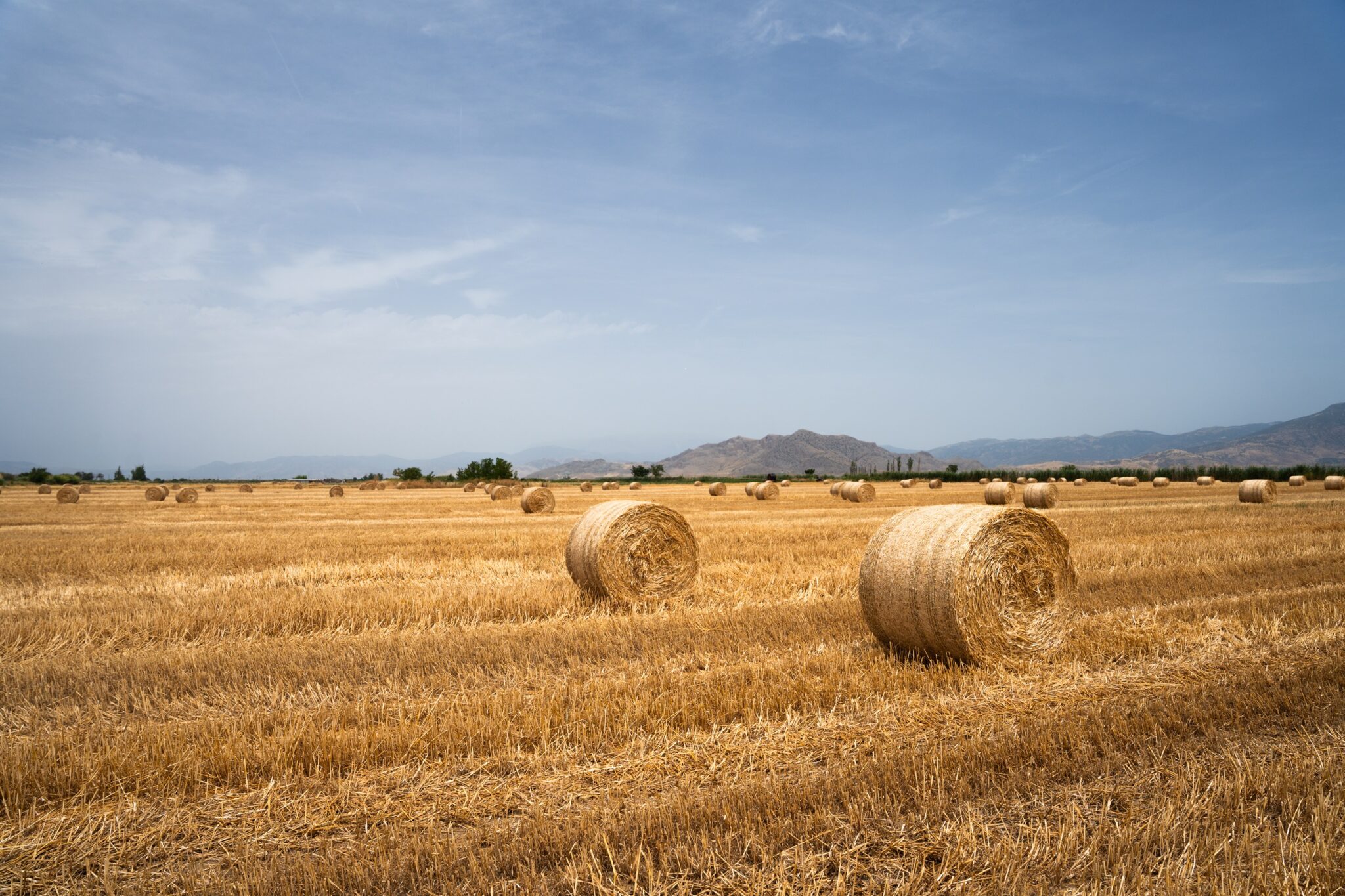 giati-thessalikos-anoigma