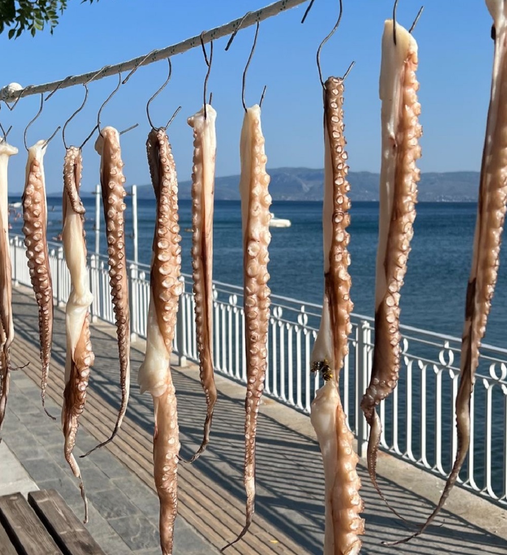 amarinthos-thalassina-anoigma