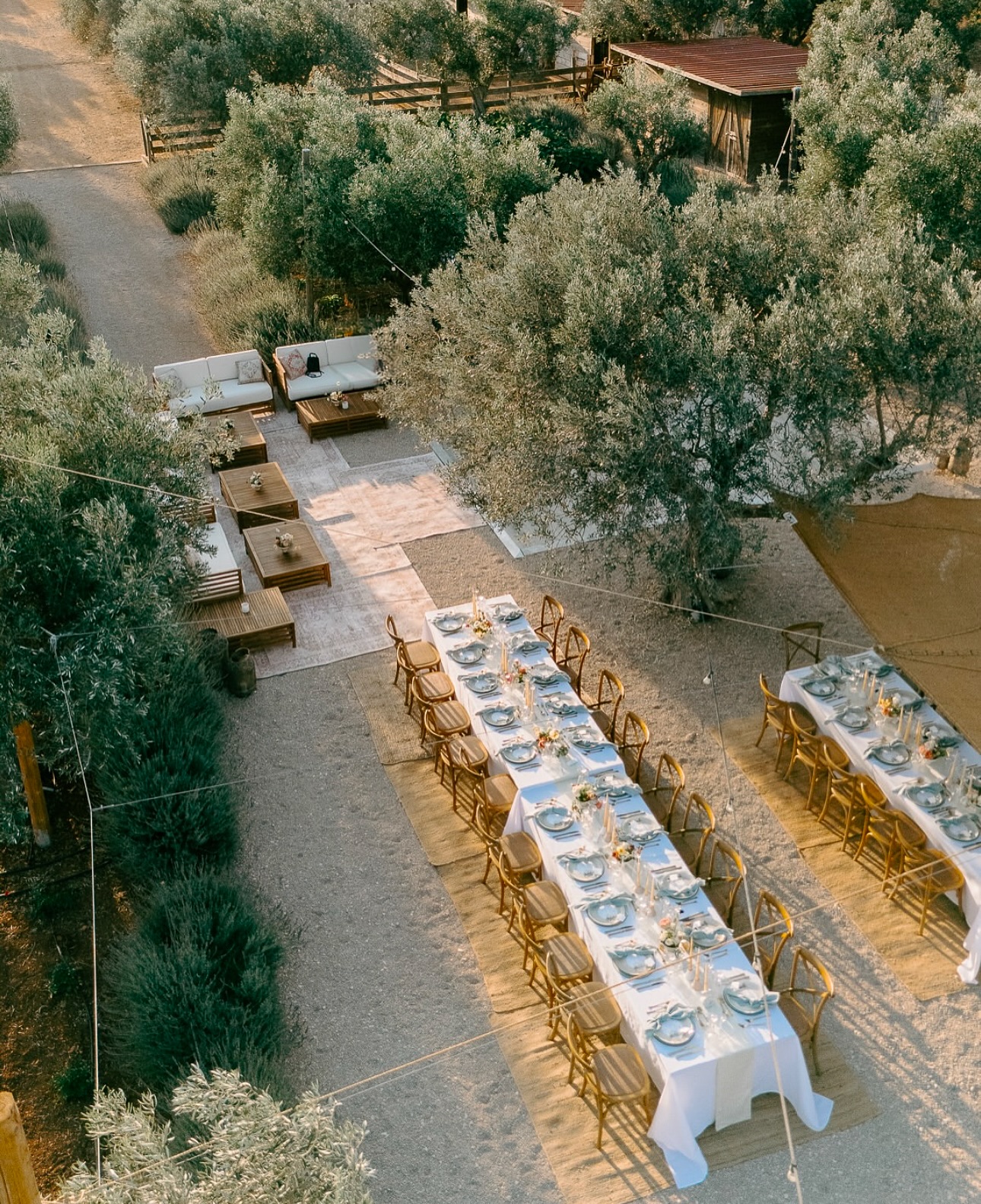 farm-to-table-margi1