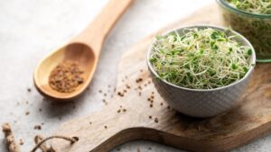 Microgreens,Grown,In,A,Jar.,Healthy,Eating