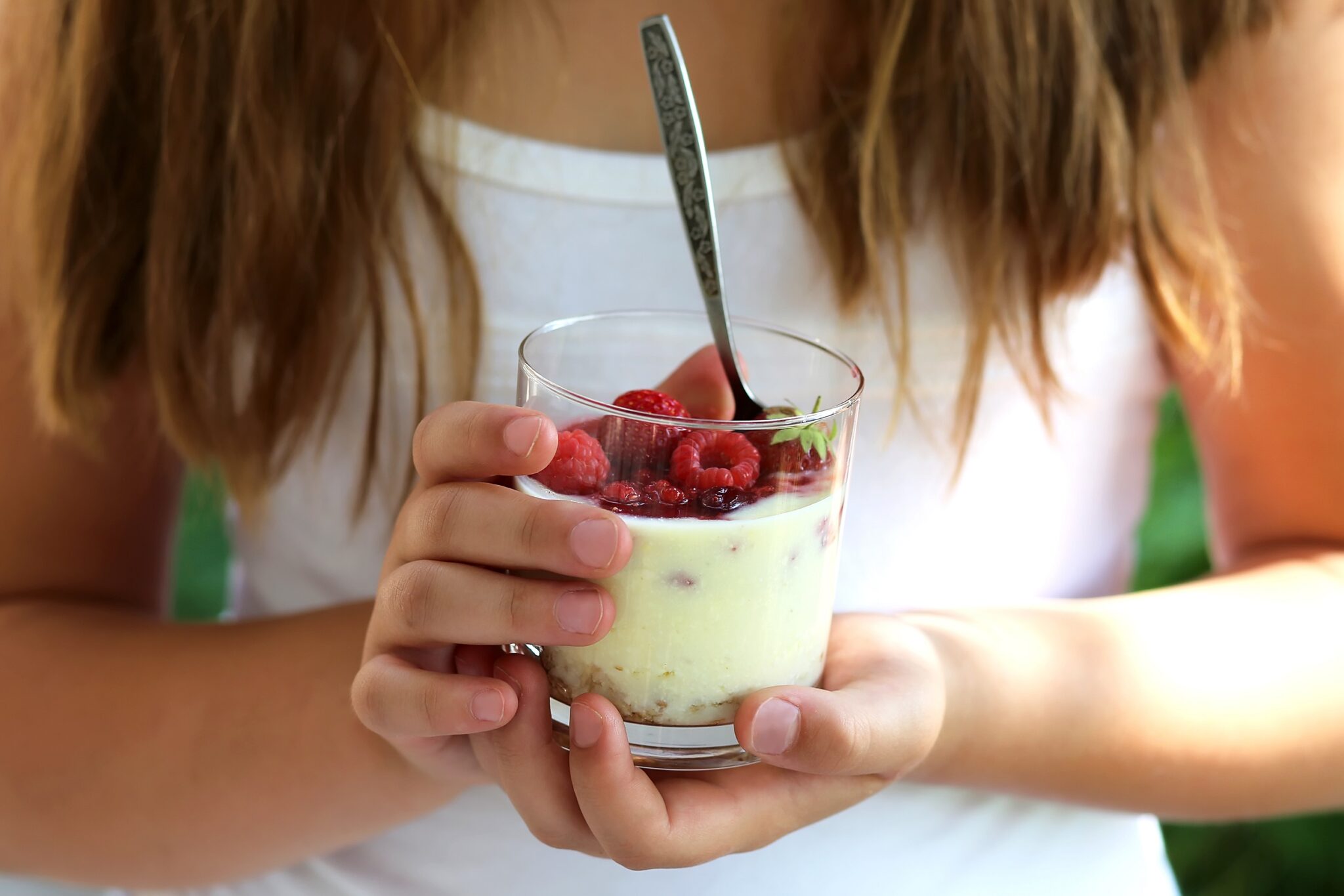 Dessert,Of,Granola,,Yoghurt,And,Smoothie,Of,Fresh,Berries,-