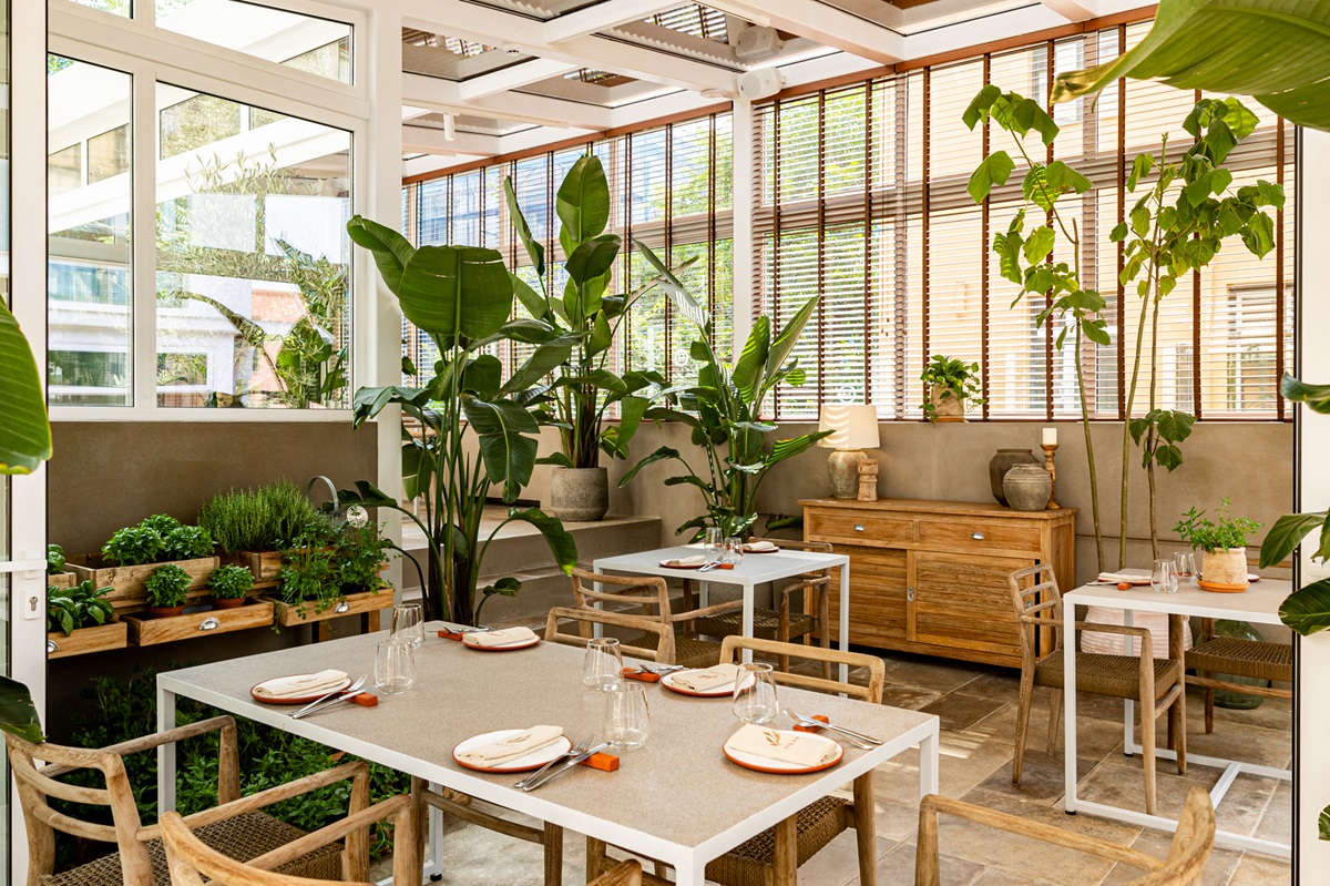 zohos-esoteriko-anoigma