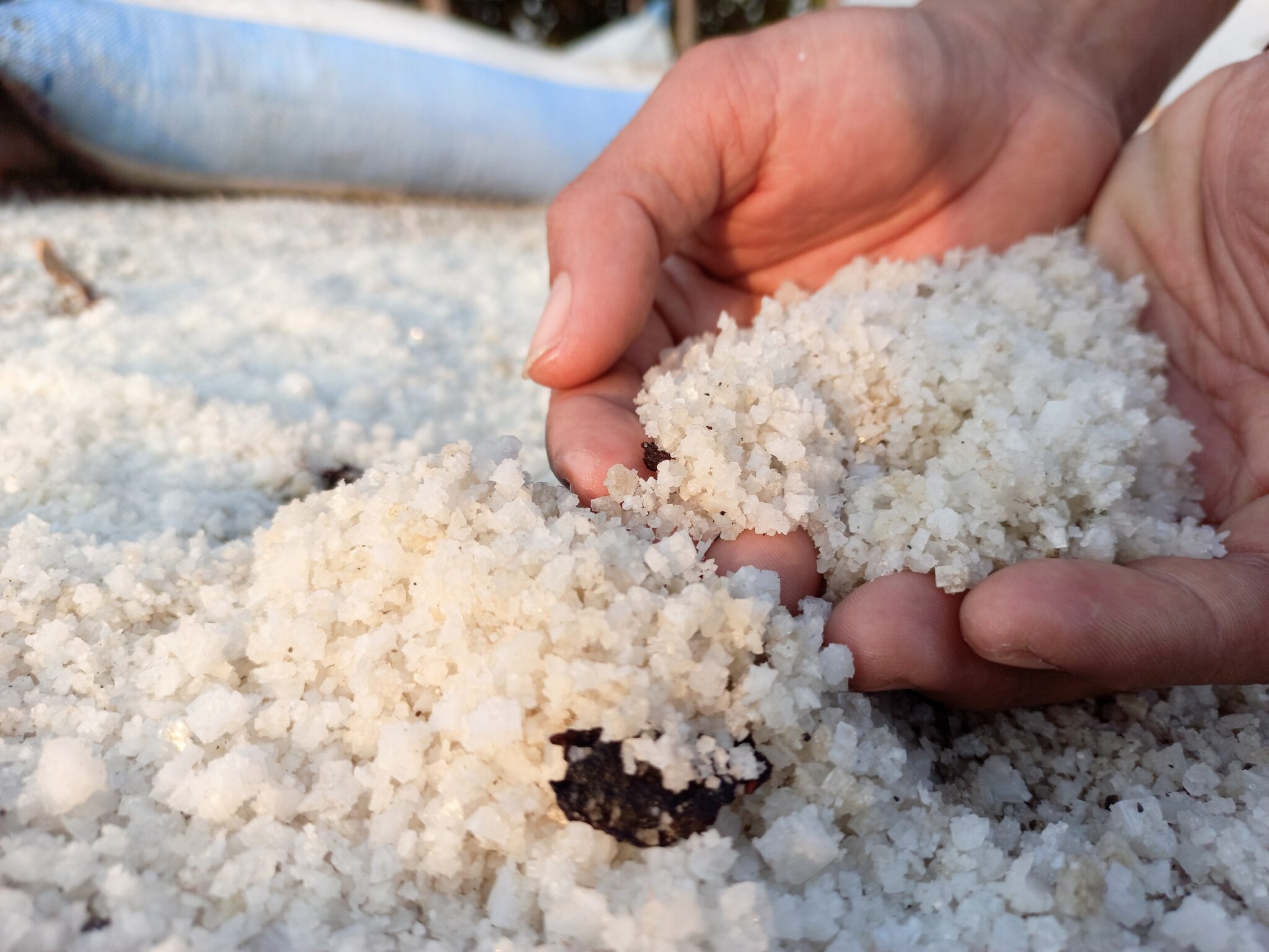 Krosok,Coarse,Salt,Or,Coarse,Salt,In,Hand,,Traditional,Organic