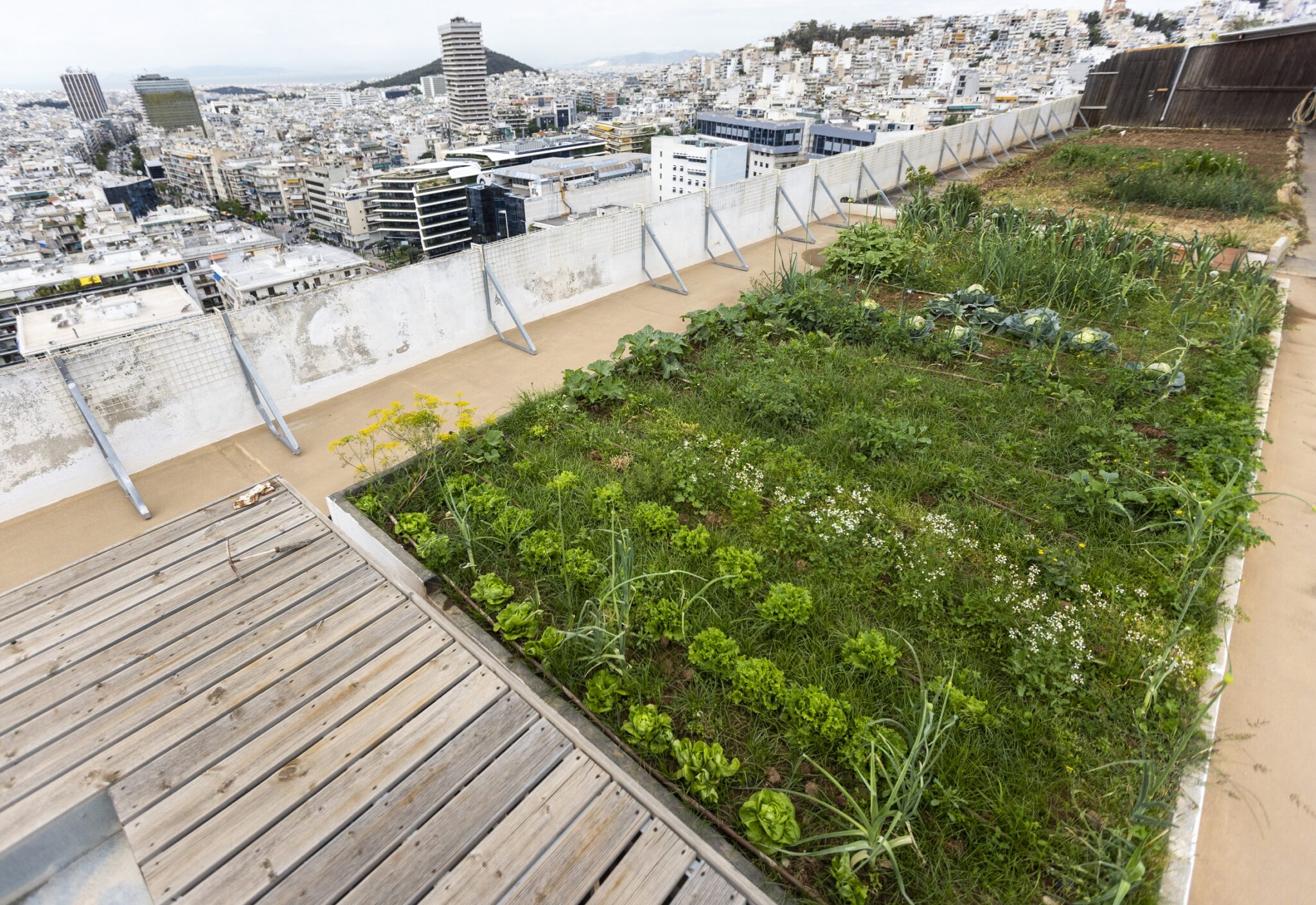 astikoi-kipouroi-sofikitis-anoigma