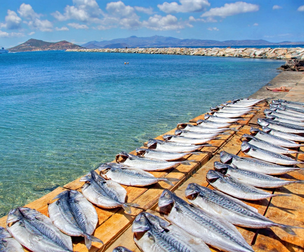 Fish,Drying,In,The,Sun,By,The,Seaside,At,The