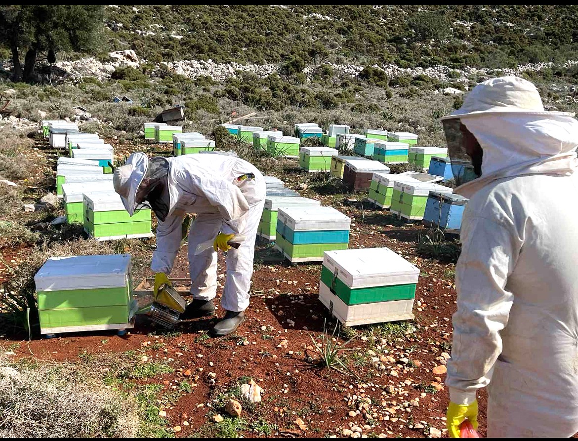 Μελισσοκομική Μονάδα Καστελλόριζο