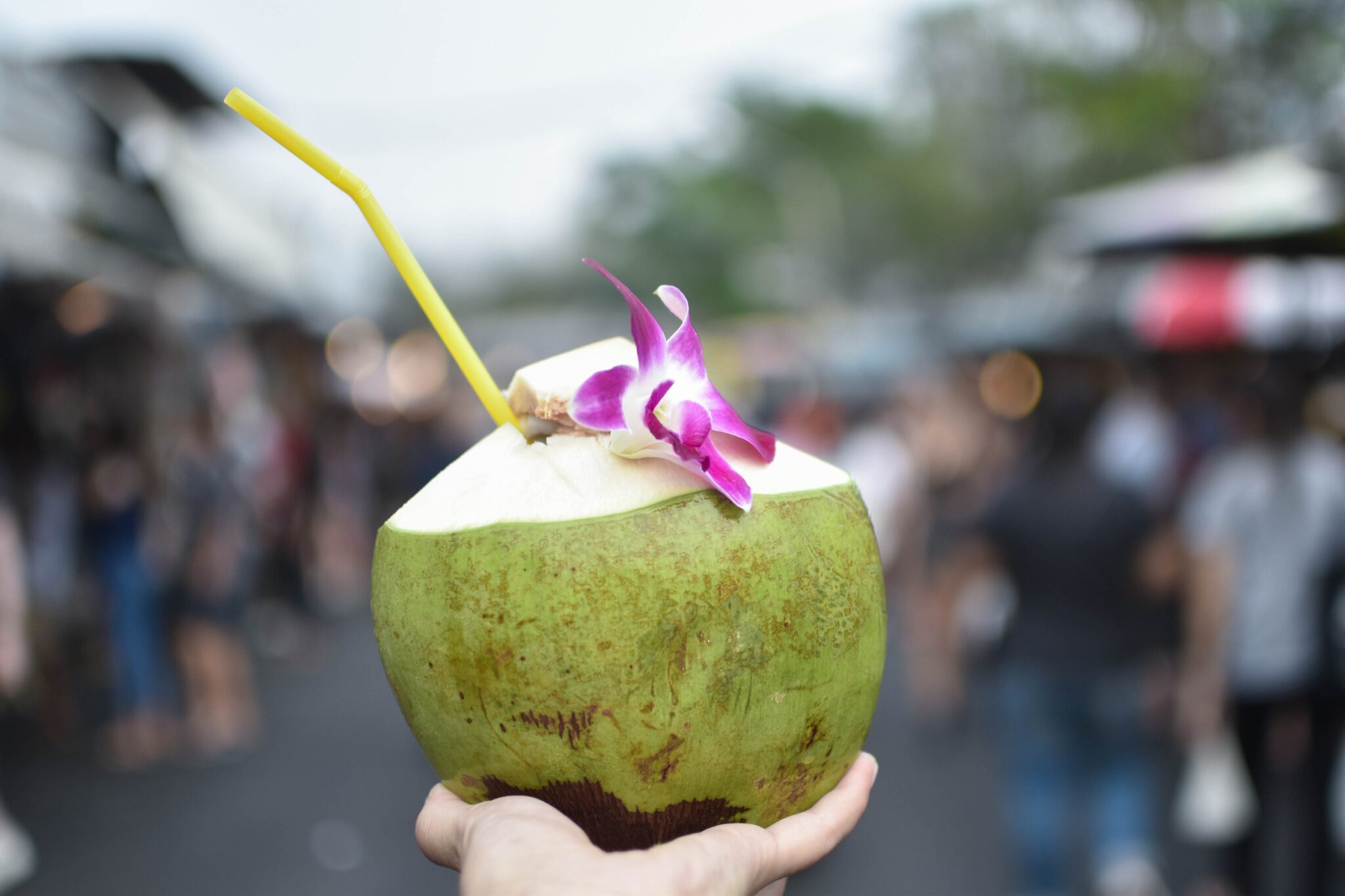 Fresh,Young,Coconut,Juice,With,Orchid,And,A,Plastic,Straw,