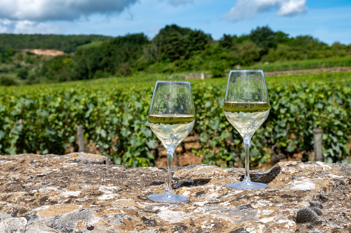 Tasting,Of,High,Quality,White,Dry,Rare,Wine,Made,From