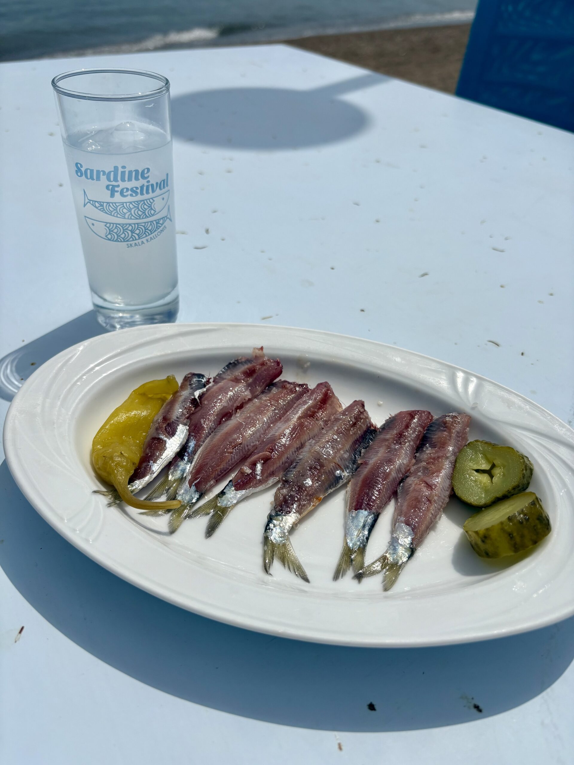 sardine-festival-anoigma