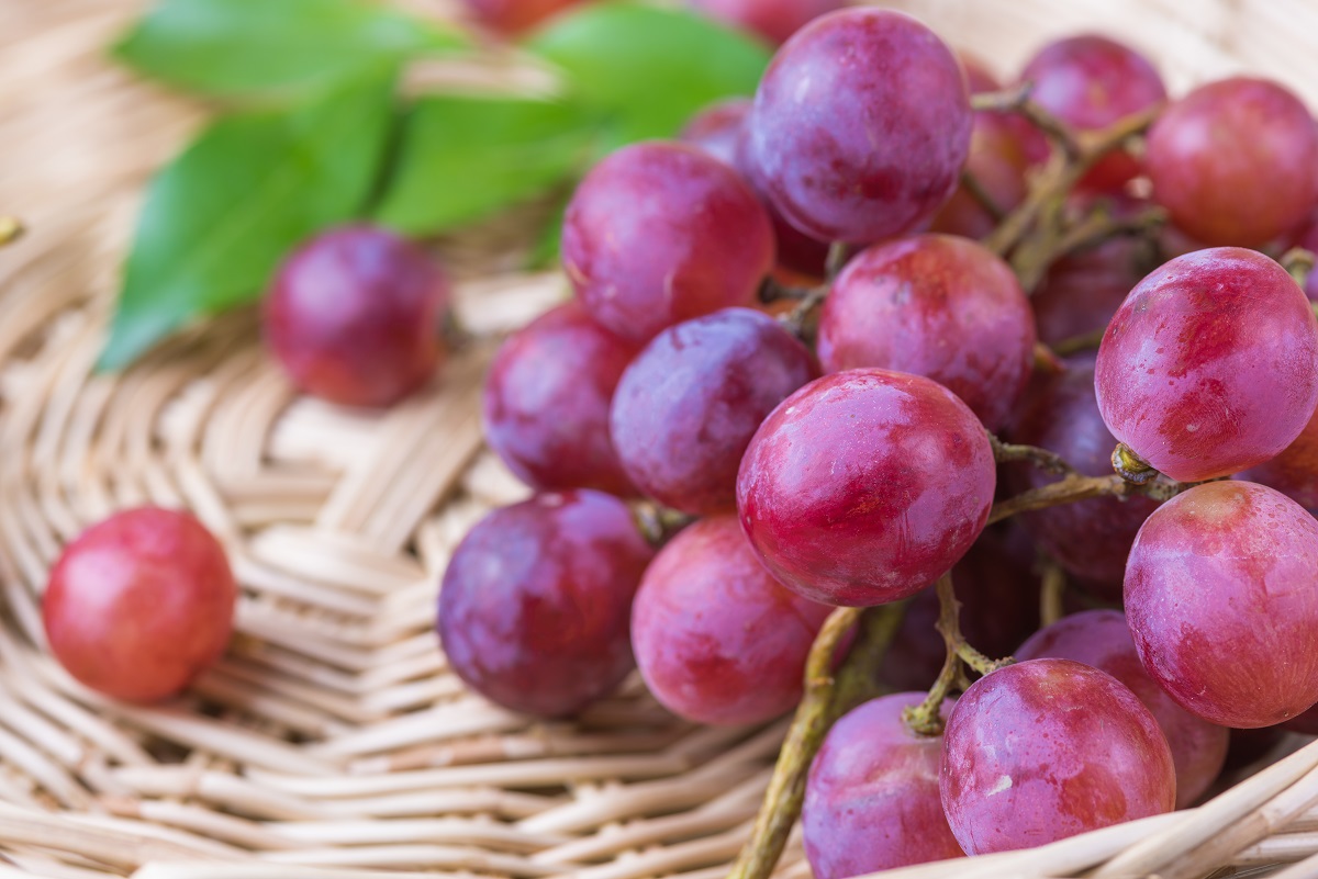 Purple,Round,Grapes,On,Wicker,Baskets