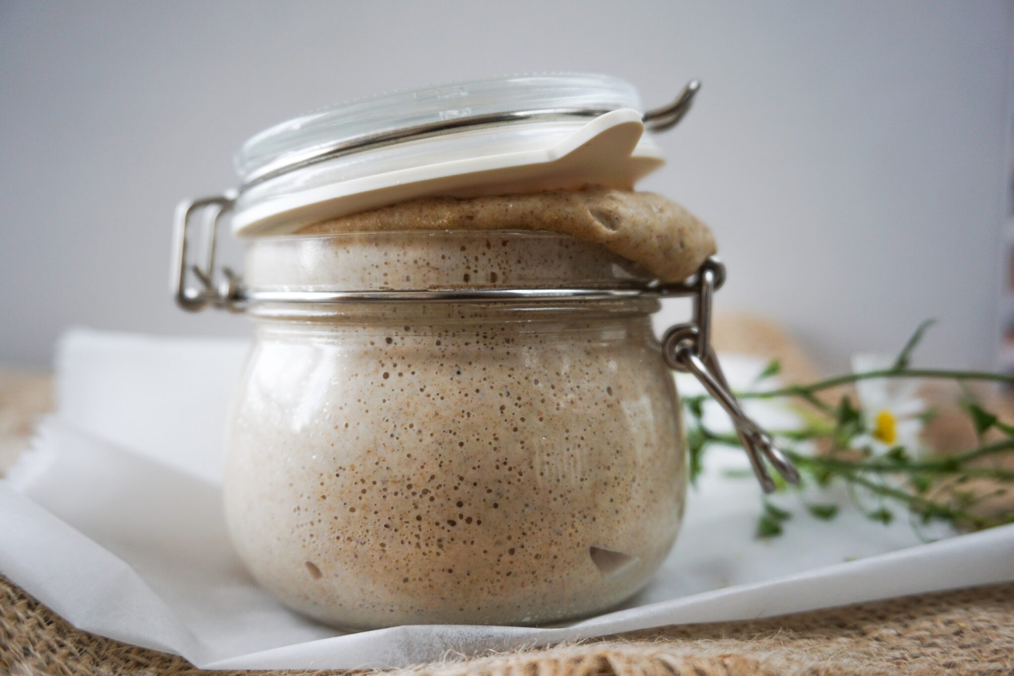 Active,Sourdough,Bread,Levain,Starter,In,A,Jar