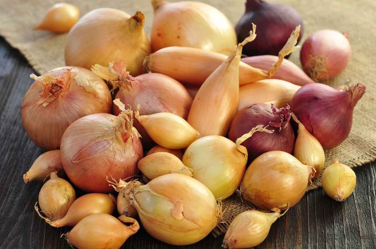 Vegetables,,Various,Onions,On,Wooden,Background,,Closeup.