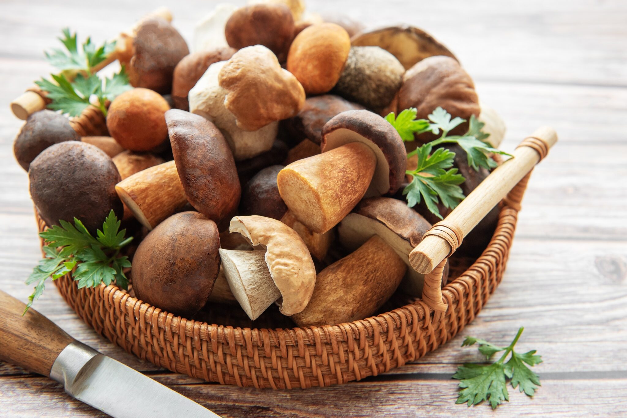 A,Collection,Of,Assorted,Fresh,Mushrooms,Is,Beautifully,Arranged,In