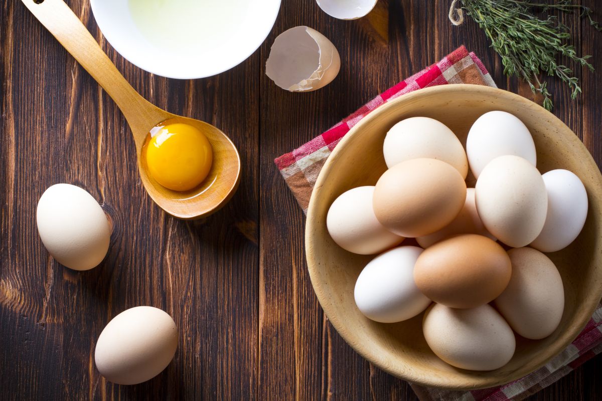 avga-elefteras-voskis-33