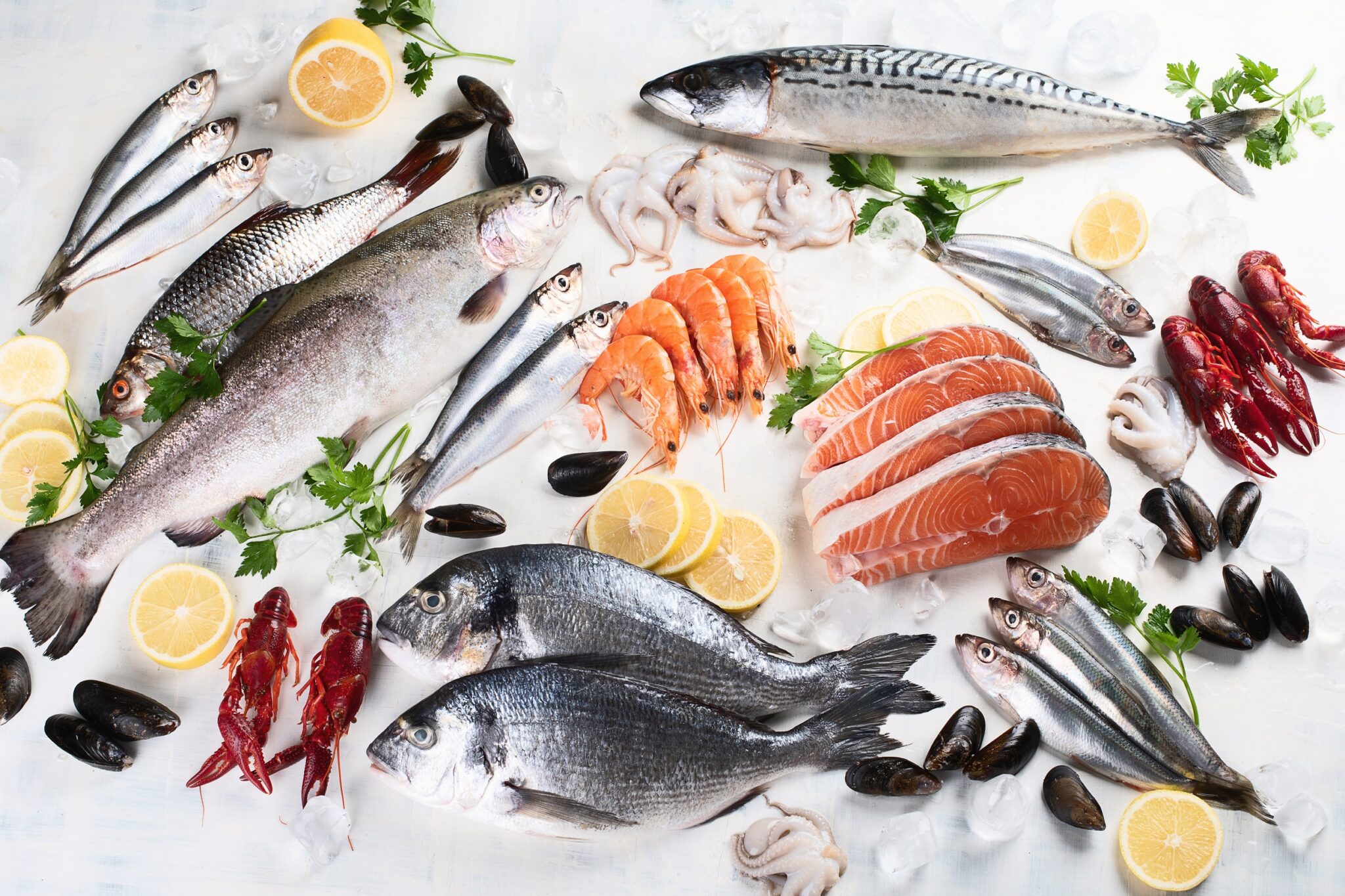 Fresh,Fish,And,Seafood.,Healthy,Eating,Concept.,Top,View