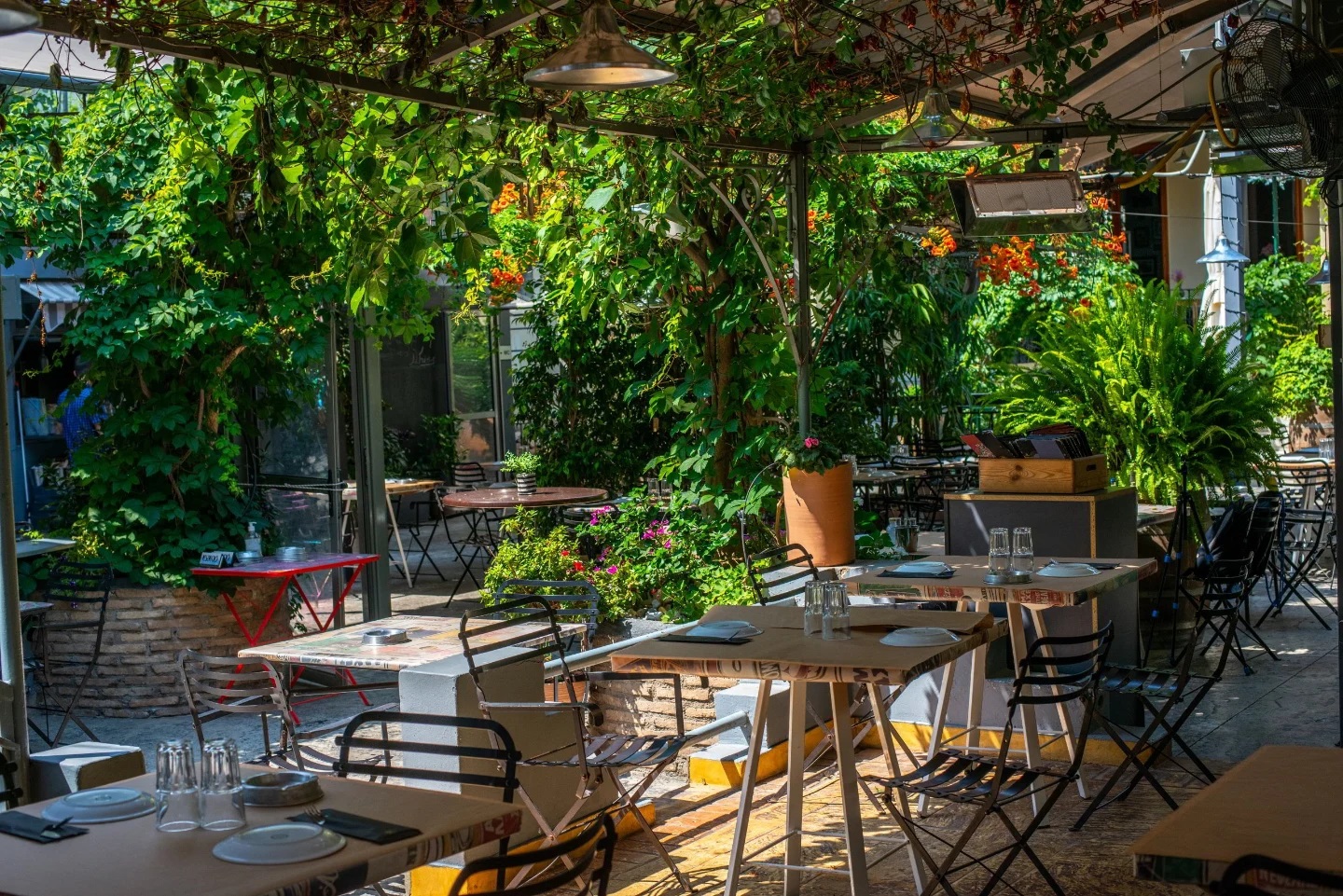 αυλές για καφέ