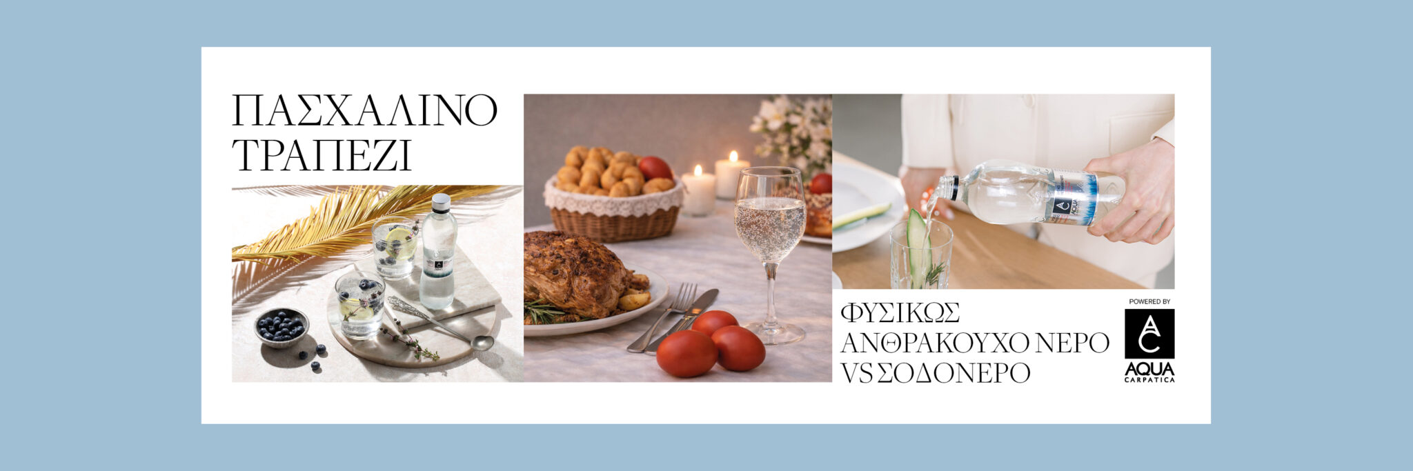 AQUA CARPATICA_3000x1000