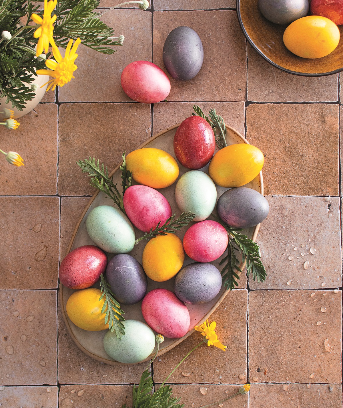 arkadia_ethima_mesa3