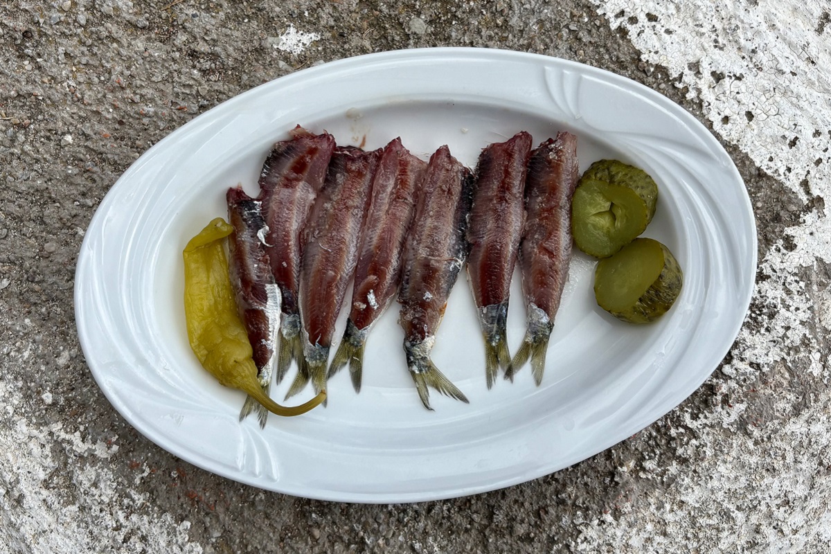 papalina-kallon-lesvos-anoigma