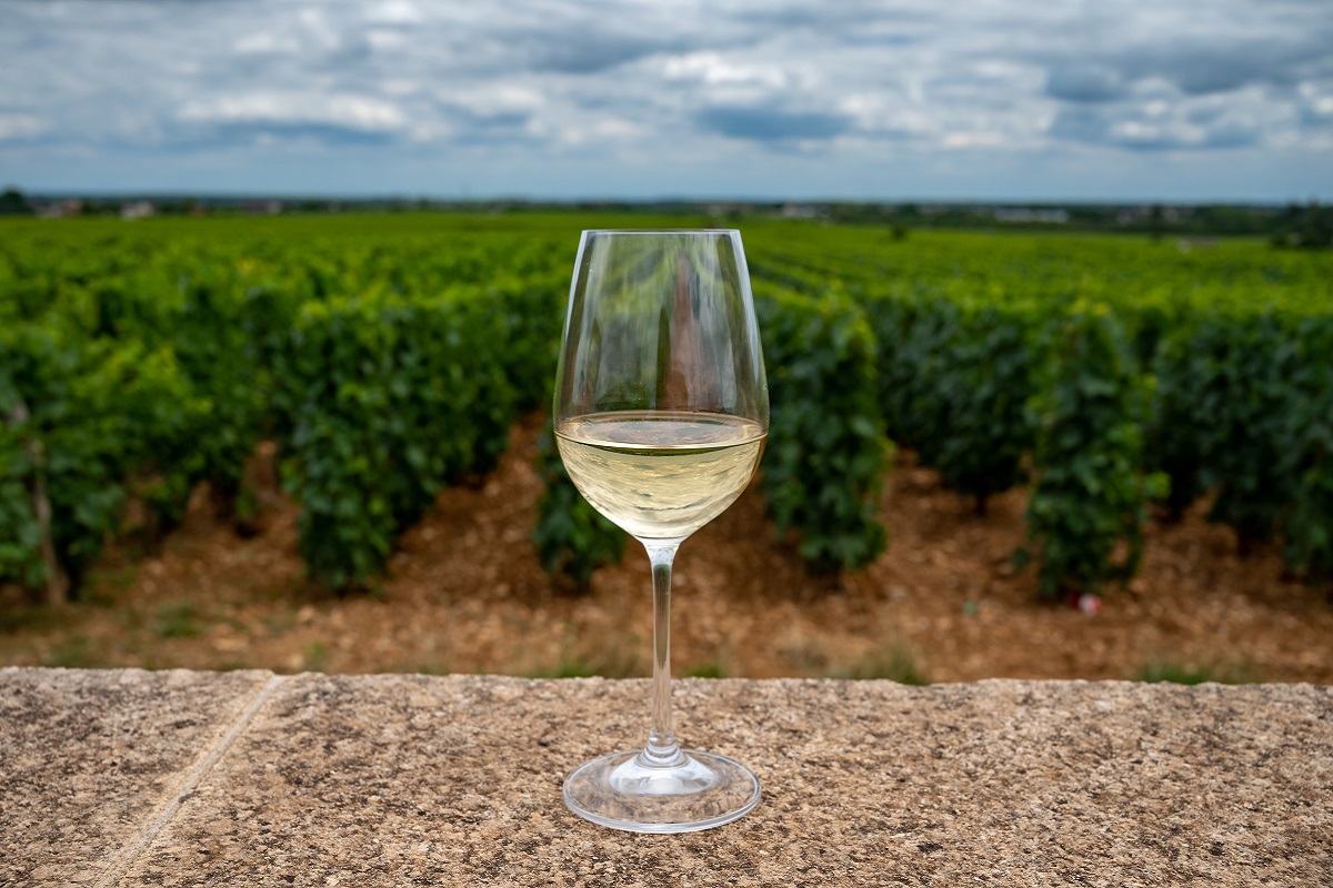 Messinia Terroirs